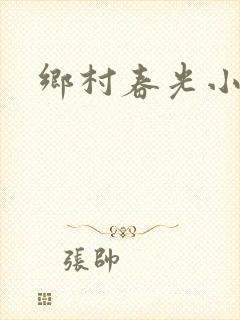 乡村春光小说