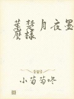 叶楚月夜墨寒怎么样