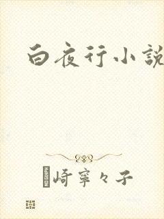 白夜行小说下载封面