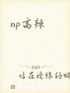 np高辣