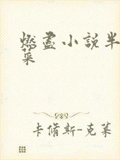 燃尽小说半截白菜