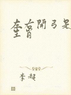 左右开弓是什么生肖