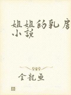 姐姐的乳房都市小说