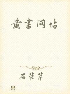黄书网站封面