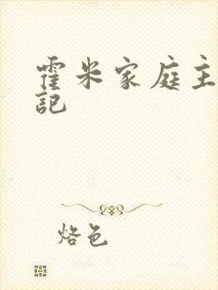 霍米家庭主妇日记封面