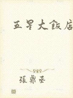 五星大饭店小说