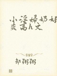 小淫妇奶好大好爽高h文