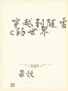 穿越到随处可以c的世界