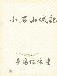 小石山城记封面