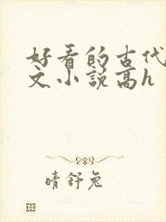 好看的古代调教文小说高h