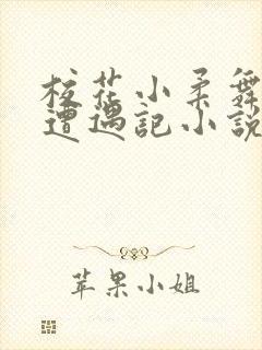 校花小柔舞蹈室遭遇记小说