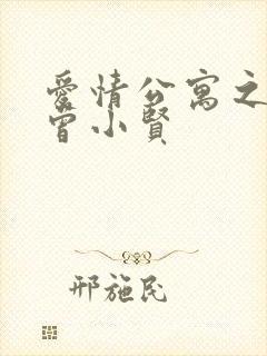 爱情公寓之极品曾小贤