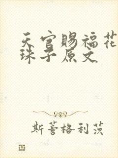 天官赐福花怜塞珠子原文