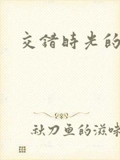 交错时光的爱恋封面