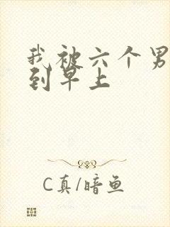 我被六个男人躁到早上封面