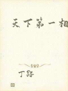 天下第一相书封面