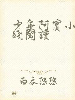 少年阿宾小说在线阅读