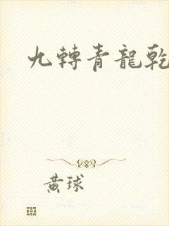 九转青龙乾坤鼎封面