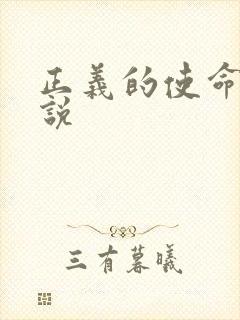 正义的使命 小说