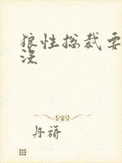 狼性总裁要够了没封面