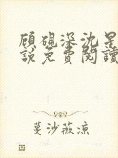 顾砚深沈星瑶小说免费阅读最新章节