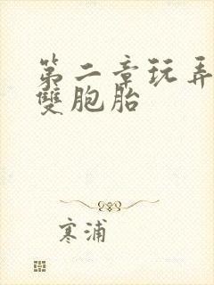 第二章玩弄少妇双胞胎封面