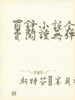 罗铮小说全文免费阅读无弹窗封面