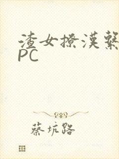 渣女撩汉系统NPC