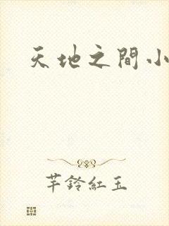 天地之间小说