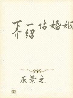 下一站婚姻剧情介绍封面