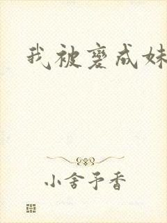 我被变成妹了封面