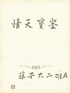 情天宝鉴