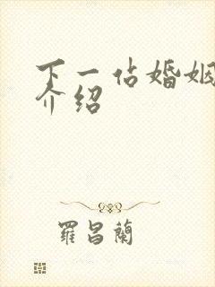 下一站婚姻剧情介绍