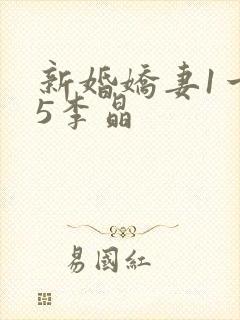 新婚娇妻1一25李晶