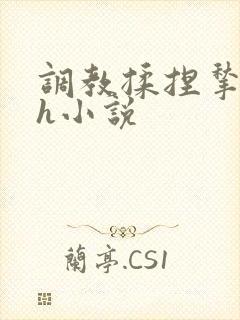 调教揉捏揪奶头h小说