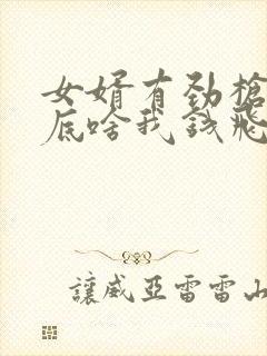 女婿有劲枪枪到底啥我钱飞了封面