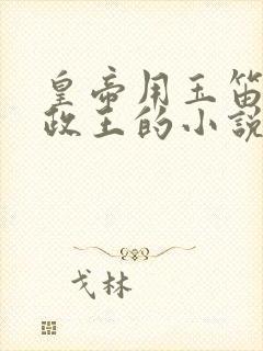 皇帝用玉笛整摄政王的小说