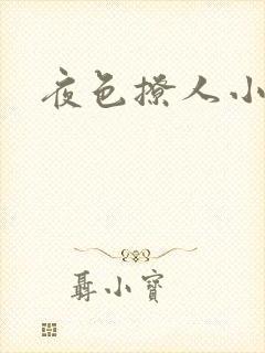 夜色撩人小说