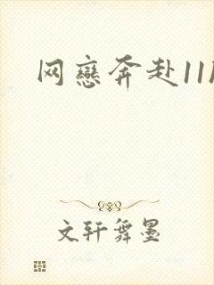 网恋奔赴11h封面