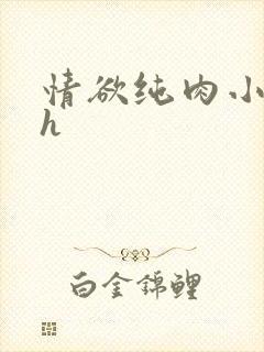 情欲纯肉小说高h封面