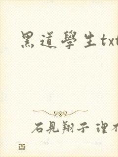 黑道学生txt封面
