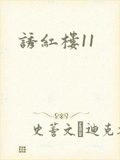 诱红楼11