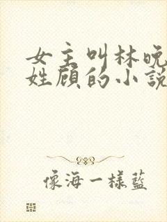 女主叫林晚男主姓顾的小说封面