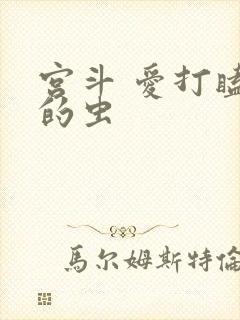 宫斗 爱打瞌睡的虫