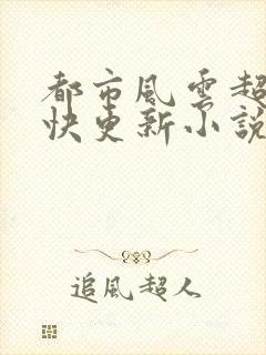 都市风云超前超快更新小说