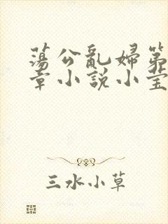 荡公乱妇第51章小说小莹