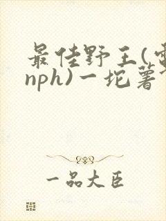 最佳野王(电竞nph)一坨薯饼