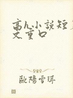 高h小说短篇辣文重口