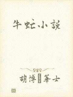 牛虻小说