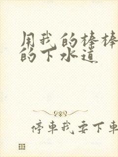 用我的棒棒通你的下水道